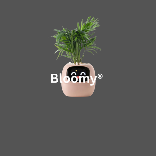 Bloomy: Turn your plants into lovable, interactive companions!